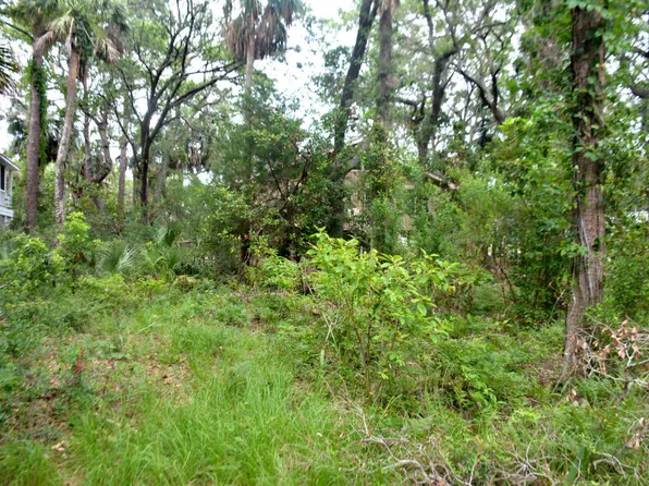 726 Sandpiper Rdg, Edisto Island, SC 29438