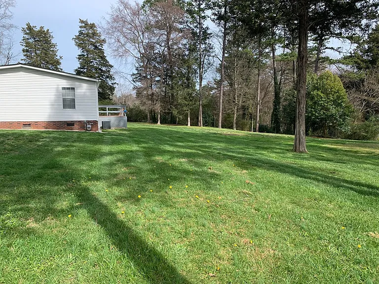 135 Langtree Rd — Photo 12