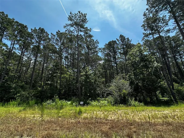 11885 Dawn Tree Ln, Willis, TX 77378