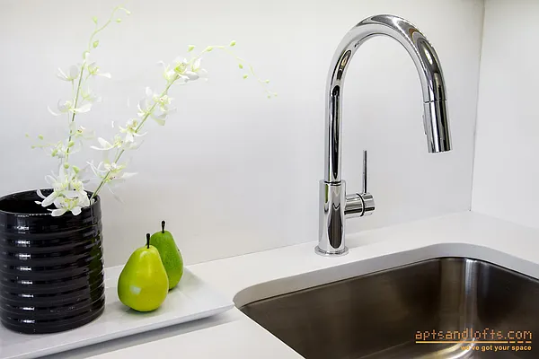 Rented by aptsandlofts.com | media 28