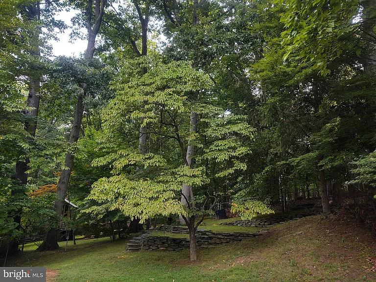 112 Claybrook Dr — Photo 56