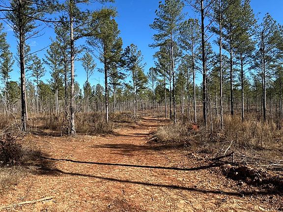 3rd image of 3-002A Butler Bridge Rd