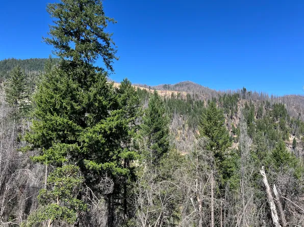 2 Hayfork Summit Rd, Junction City, CA 96048