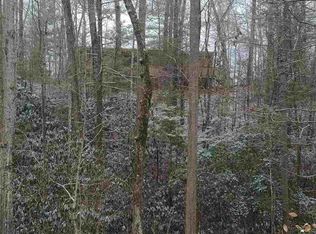 4234 Whetstone Rd, Sevierville, TN 37862