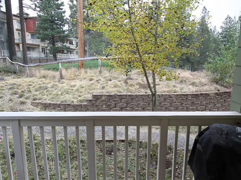 1500 Lodestar Dr #103 — Photo 23