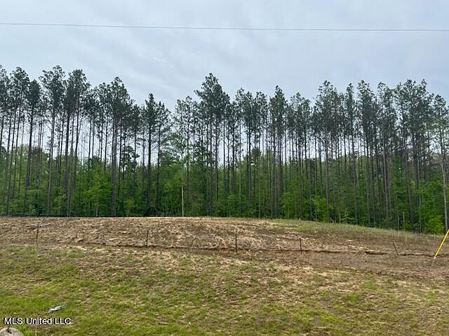 2nd image of Lost Oak Ln Lot 65