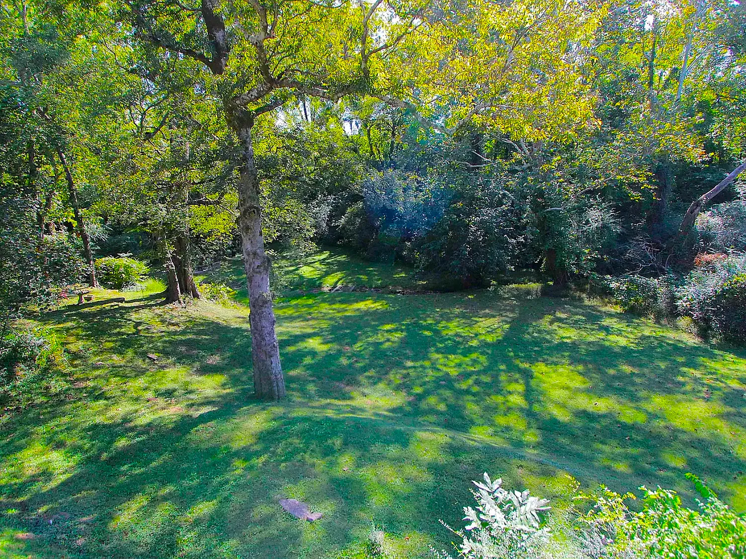 567 Whispering Hills Drive — Photo 3