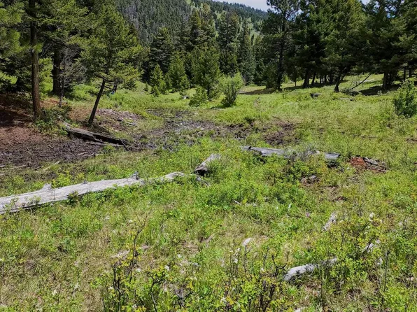 5 Nevada Creek Ranch Rd, Helmville, MT 59843