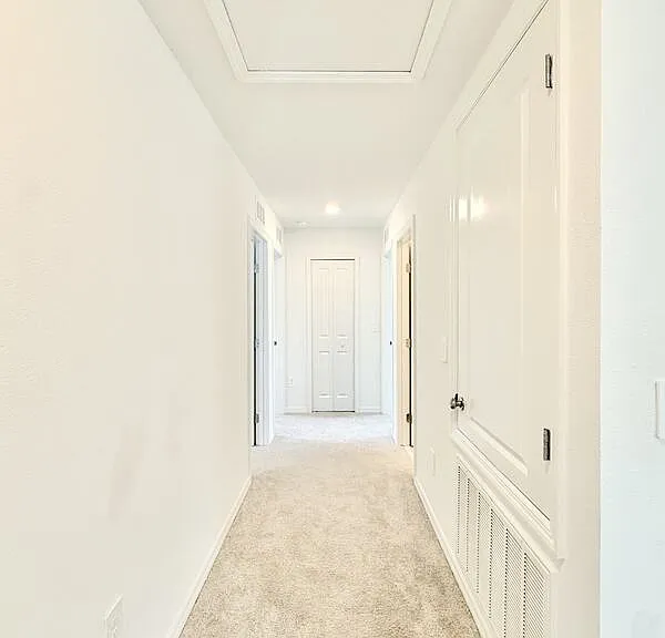 641 Bald Cypress Dr — Photo 30