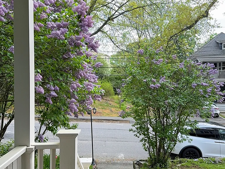 11 Eddy St #11 — Photo 21
