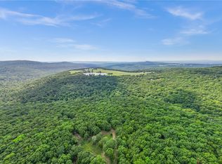 14249 Low Gap Rd, West Fork, AR 72774