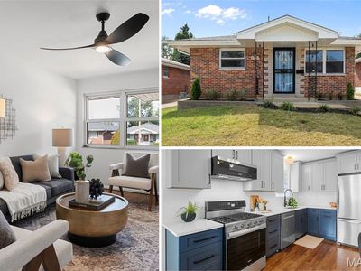 4000 Steffens Ave, Saint Louis, MO, 63116