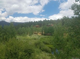 309 Neish St, Bailey, CO 80421