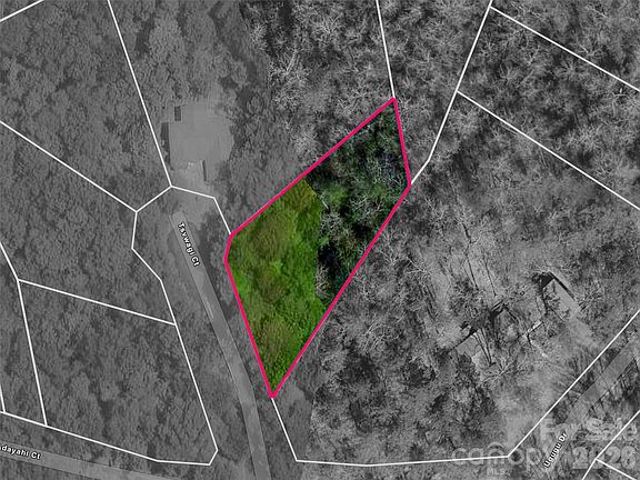 2nd image of Tsvwagi Ct #2/25