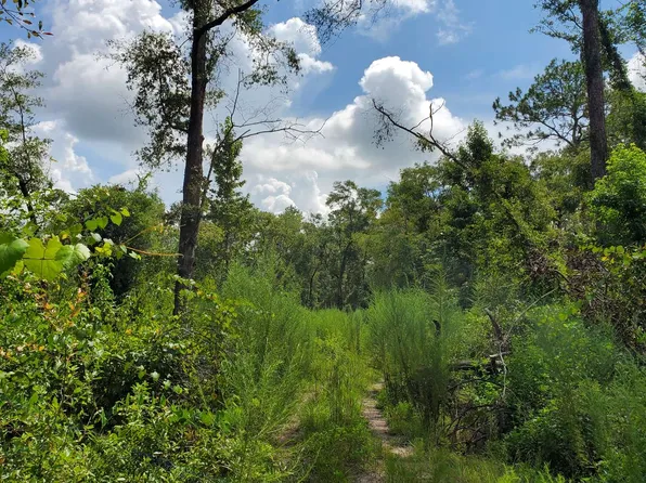 Tbd 14th Path, Live Oak, FL 32060