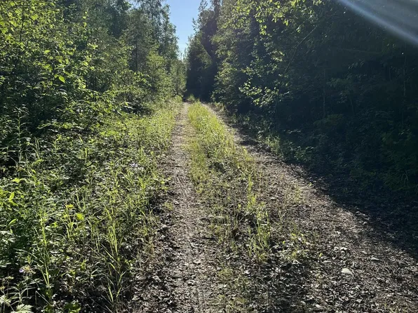 18764 E Marcus Rd, Talkeetna, AK 99676