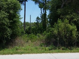 28015 Bougainvillea Ave, Paisley, FL 32767