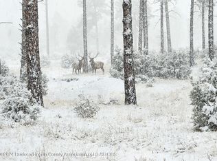 1097B State Highway 48, Alto, NM 88312