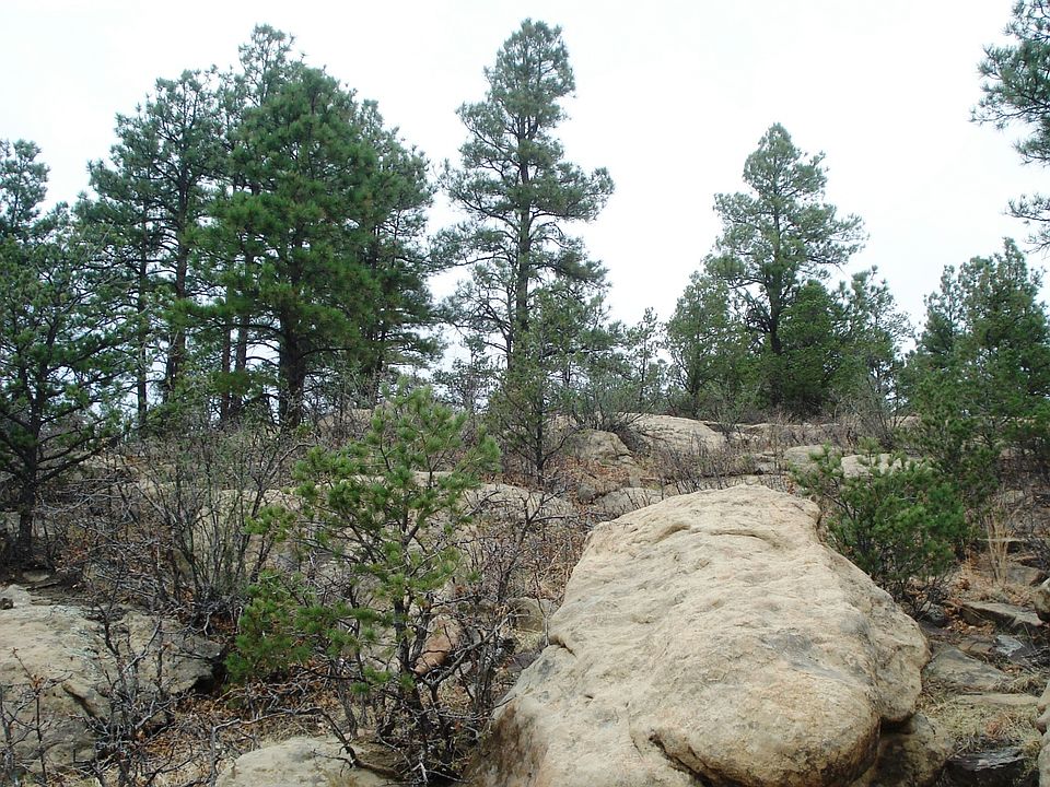 1st image of LOT 39 Spanish Highlands Lot 39
