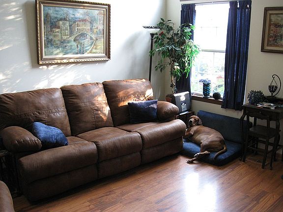 Family room-dog not included