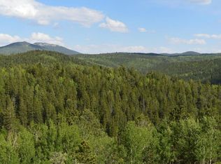 348 Granite Ln, Cripple Creek, CO 80813