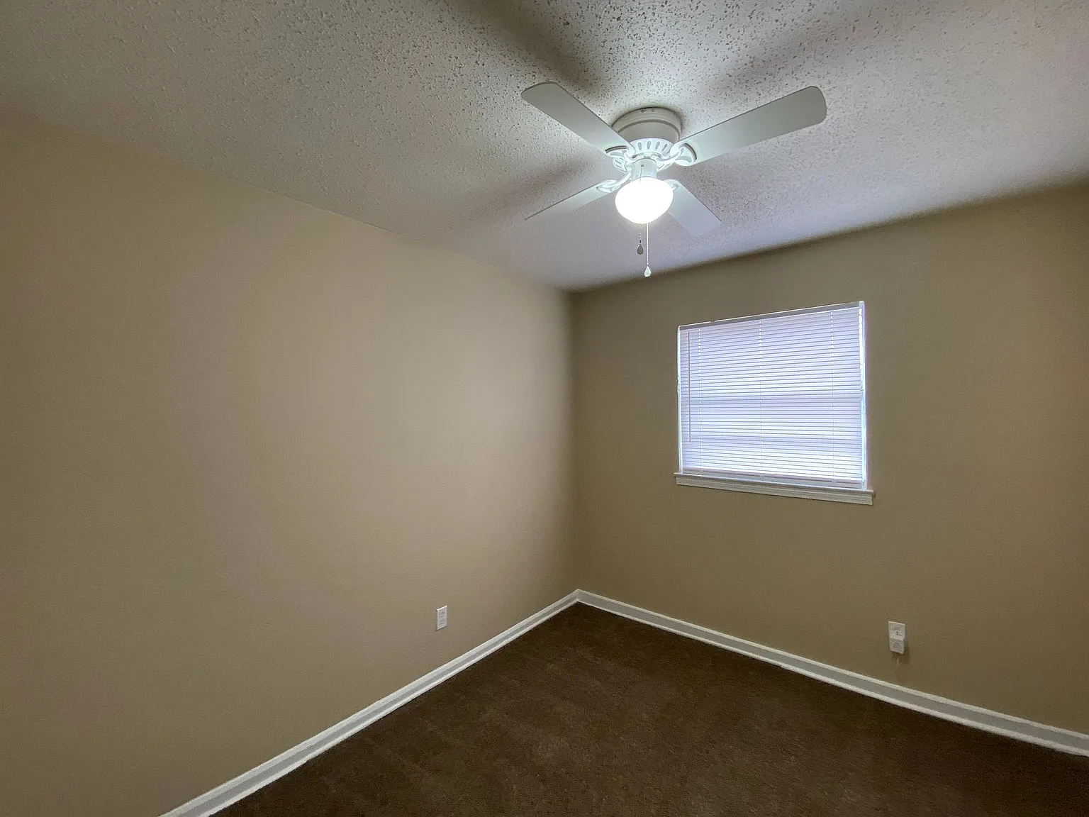 2624 Maverick Ave — Photo 4