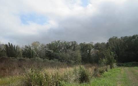5th image of 1357 Bagwell Dr