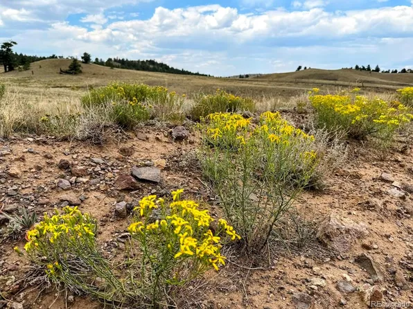 Cherokee Trail, Hartsel, CO 80449