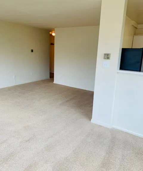 The 925 Apartments — Photo 107