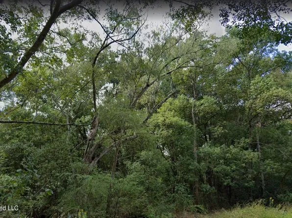 0 Dye Ave, Moss Pt, MS 39563