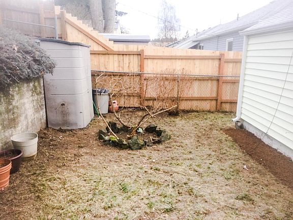 Backyard.
