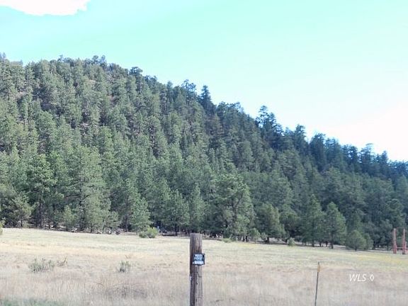 3rd image of 1231 Texas Creek Ln