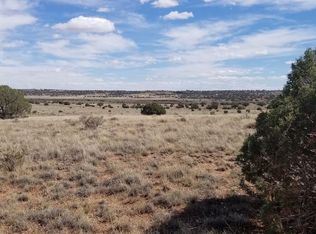 5335 S Black Mesa Valley Rd, Snowflake, AZ 85937