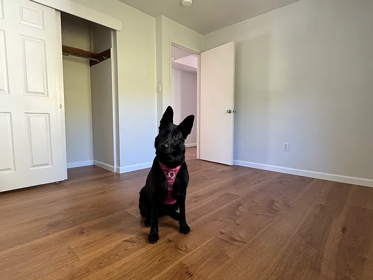 17775 Orchard Ave — Photo 24