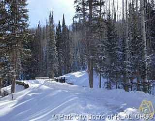 1st image of 91 White Pine Canyon Rd #90