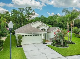 14313 Sky Flower Ln, Tampa, FL 33626
