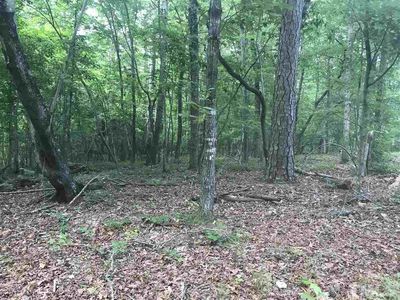 225 Gary Dr, Angier, NC, 27501