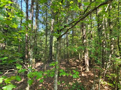 1175 New Friendship Rd, Buena Vista, TN, 38318