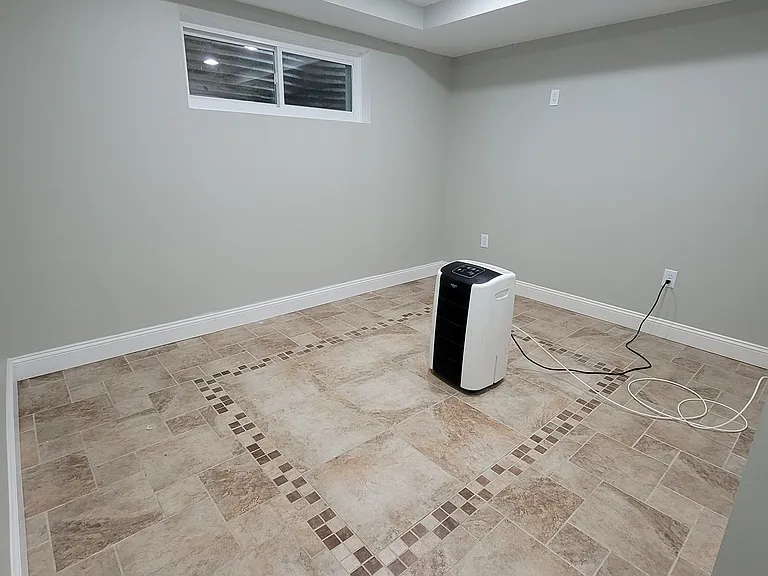 Basement / Bonus Room
