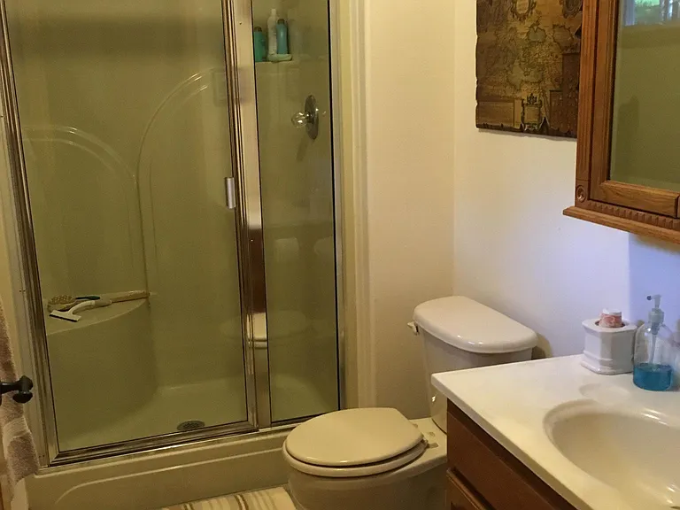 Downstairs bath