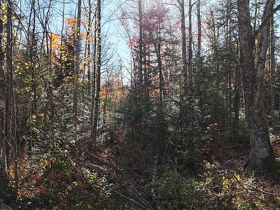 5th image of Lot 1 Old County  Road