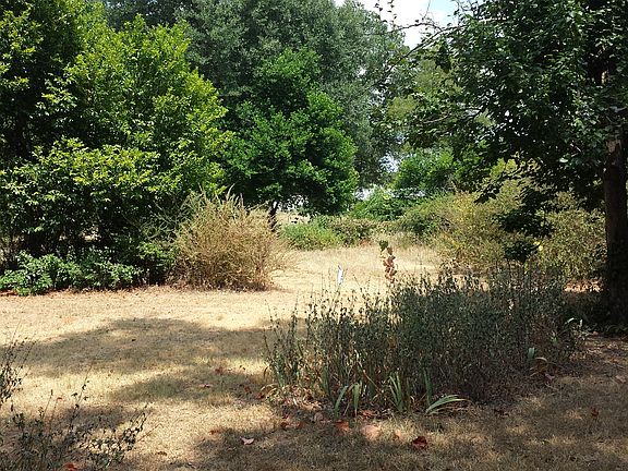4th image of 602 Sweet Gum