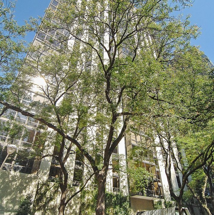 1st image of 100 E Bellevue Pl APT 16A
