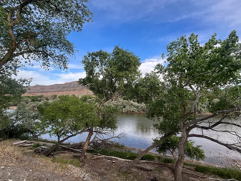River view from property.