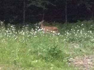 107 Bickford Hollow Rd, Woodford, VT 05201