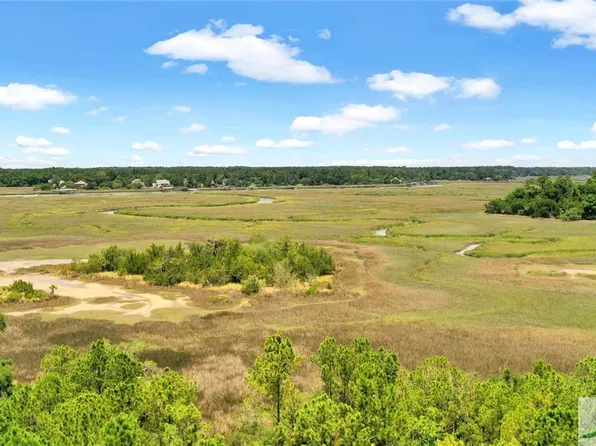0 Harden Road, Richmond Hill, GA 31324