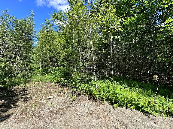 3rd image of Lot 7-15 Beechwood Avenue N