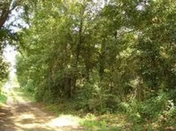 12308 Irene Early Ln, Foley, AL 36535