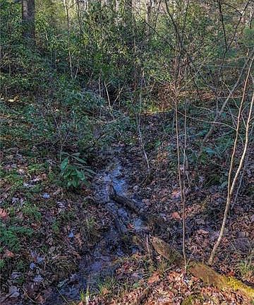 5th image of 21 Deer Lick Ln