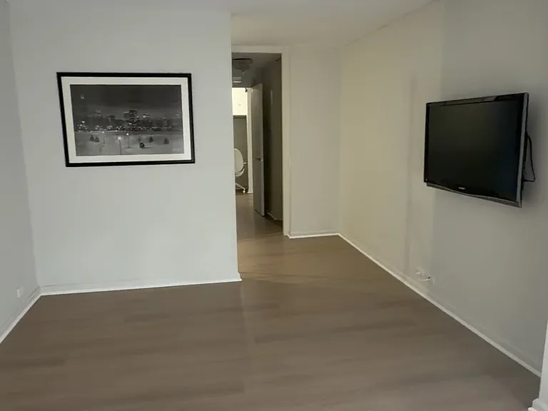 405 N Wabash Ave #4704 — Photo 57